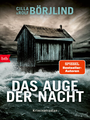 cover image of Das Auge der Nacht